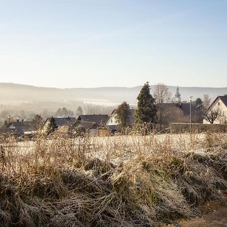 Ferienwohnung Bergaecker Neualbenreuth Eksteriør bilde